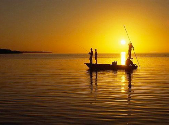 Backcountry & Flats Fishing Charters in Cape Coral